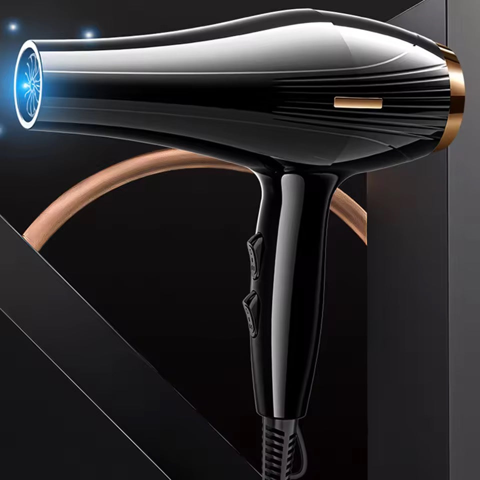 Secador de Pelo 3 en 1 Difusor Modelo 8899